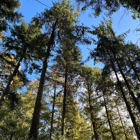 Σπίτι διακοπών Maison Normande Au Coeur D'un Domaine Prive - Nature & Calme